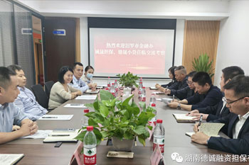 汨羅市金融辦、誠(chéng)晟擔(dān)保、鼎晟小貸一行蒞臨公司交流考察