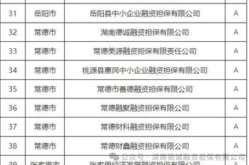 榮譽(yù)‖德誠(chéng)擔(dān)保公司再次榮獲湖南金融監(jiān)管年度評(píng)級(jí)A級(jí)